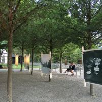 Voransicht: Ausstellung von Daniela Pensold über die Reise ihres Großvaters in den 50er-Jahren 